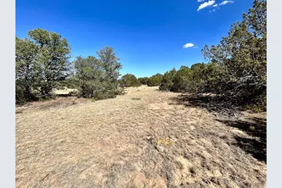 Lot 919 Los Vaqueros Cir., Walsenburg, CO 81089 - Photo 8