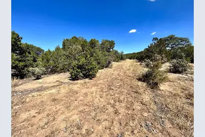 Lot 919 Los Vaqueros Cir., Walsenburg, CO 81089 - Photo 4