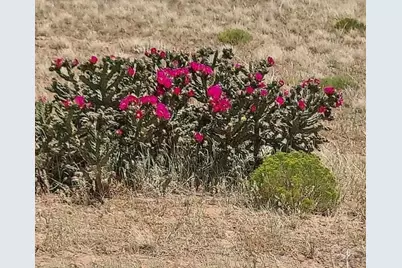 Tbd West Winds Rd, Walsenburg, CO 81089 - Photo 24