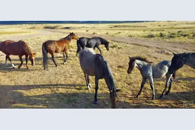 Tbd West Winds Rd, Walsenburg, CO 81089 - Photo 20