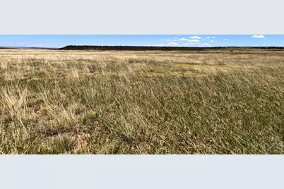 Lot 759 Lawrence, Colorado City, CO 81019 - Photo 4