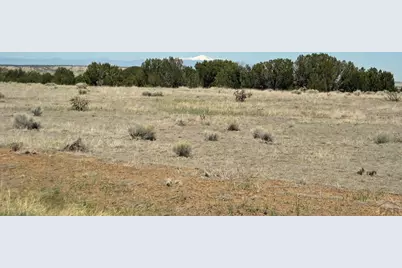 Lot 53 W Turkey Ridge Rd, Walsenburg, CO 81089 - Photo 8