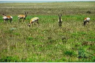 Lot 53 W Turkey Ridge Rd, Walsenburg, CO 81089 - Photo 42