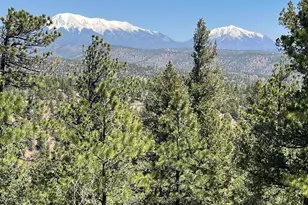 14338 North Ridge, Weston, CO 81091 - Photo 30