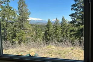 14338 North Ridge, Weston, CO 81091 - Photo 24