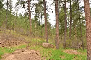 9017 Pine Ave, Beulah, CO 81023 - Photo 24