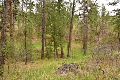 9017 Pine Ave, Beulah, CO 81023 - Photo 26