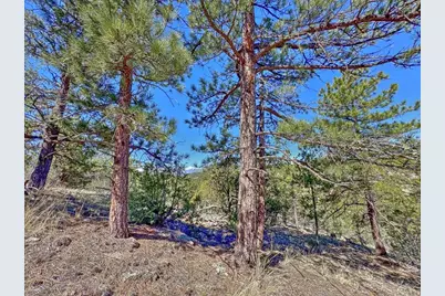 176 Bel Air Way, Cotopaxi, CO 81223 - Photo 12