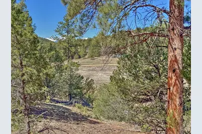 176 Bel Air Way, Cotopaxi, CO 81223 - Photo 4