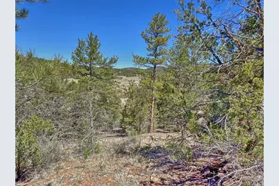176 Bel Air Way, Cotopaxi, CO 81223 - Photo 6
