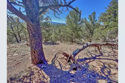 176 Bel Air Way, Cotopaxi, CO 81223 - Photo 20