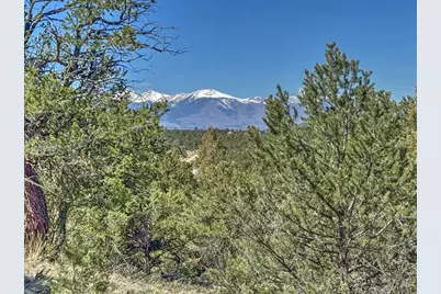 176 Bel Air Way, Cotopaxi, CO 81223 - Photo 14