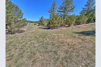 176 Bel Air Way, Cotopaxi, CO 81223 - Photo 2