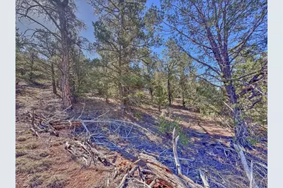 176 Bel Air Way, Cotopaxi, CO 81223 - Photo 30