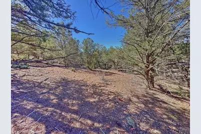 176 Bel Air Way, Cotopaxi, CO 81223 - Photo 28