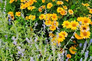 69 Mac Naughton Rd, Pueblo, CO 81001 - Photo 22