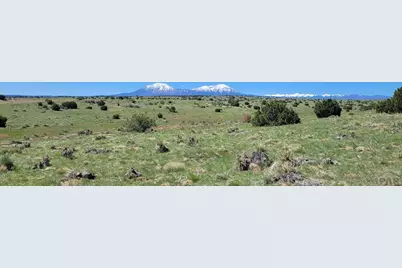 77 Rio Cucharas, Walsenburg, CO 81089 - Photo 2