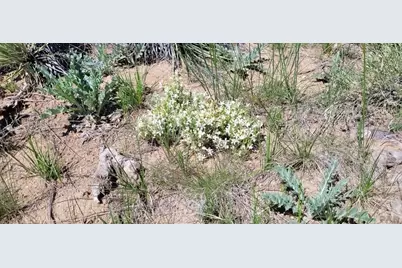 77 Rio Cucharas, Walsenburg, CO 81089 - Photo 10