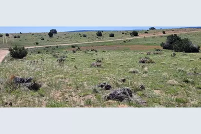 77 Rio Cucharas, Walsenburg, CO 81089 - Photo 4