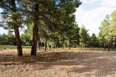 538 Rugby Mines Rd, Walsenburg, CO 81089 - Photo 66