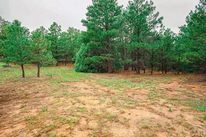 538 Rugby Mines Rd, Walsenburg, CO 81089 - Photo 46