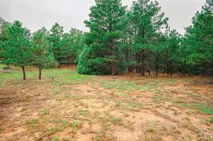 538 Rugby Mines Rd, Walsenburg, CO 81089 - Photo 46