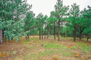 538 Rugby Mines Rd, Walsenburg, CO 81089 - Photo 42