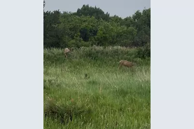Lot 272 W Colorado Blvd, Colorado City, CO 81019 - Photo 2