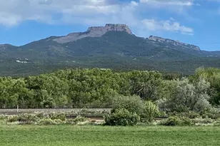 33866 Hwy 12, Trinidad, CO 81082 - Photo 8