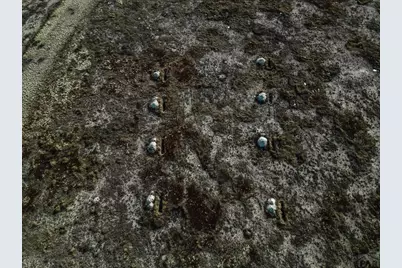 1230 E Industrial Blvd, Pueblo West, CO 81007 - Photo 6