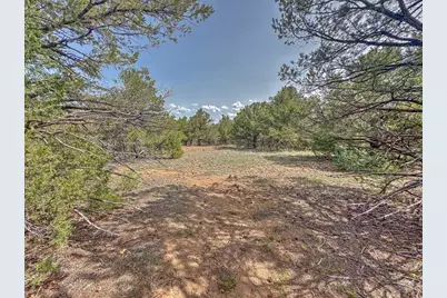 Tbd Lot 34 Corral North, Cotopaxi, CO 81223 - Photo 34