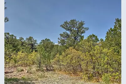 Tbd Lot 34 Corral North, Cotopaxi, CO 81223 - Photo 10