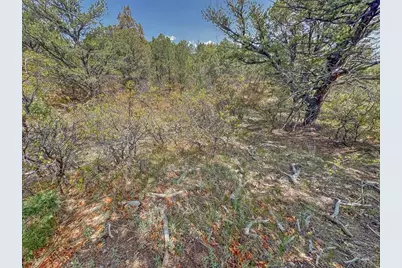 Tbd Lot 34 Corral North, Cotopaxi, CO 81223 - Photo 32