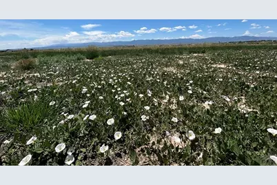 83 Top Rail Trail, Penrose, CO 81240 - Photo 2