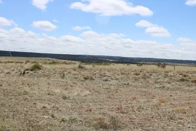 Tbd Locomotive Ct, Rye, CO 81069 - Photo 8