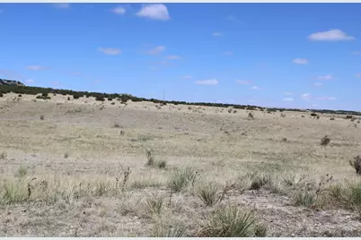 Tbd Locomotive Ct, Rye, CO 81069 - Photo 10
