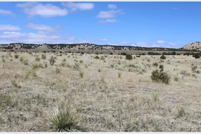 Tbd Locomotive Ct, Rye, CO 81069 - Photo 12
