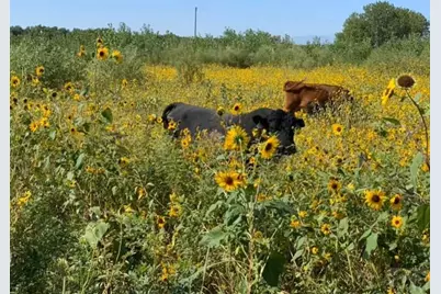 628 Avondale Blvd, Avondale, CO 81022 - Photo 10