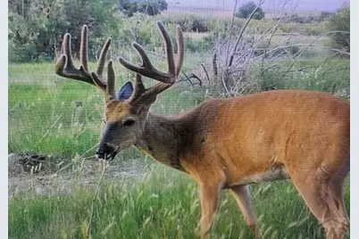 628 Avondale Blvd, Avondale, CO 81022 - Photo 8