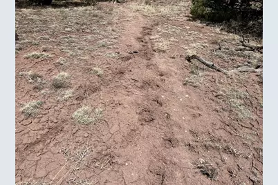 25 Colorado Land and Grazing, Gardner, CO 81040 - Photo 8