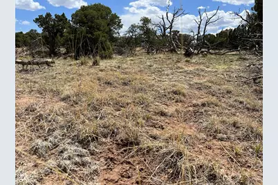 27 Colorado Land and Grazing, Gardner, CO 81040 - Photo 2