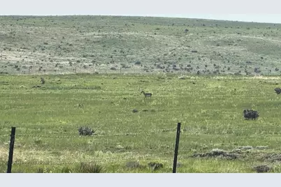 Tbd County Rd 520, Walsenburg, CO 81089 - Photo 40