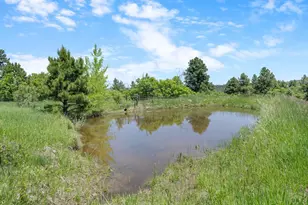 8221 Cuerna Verde Rd, Rye, CO 81069 - Photo 52