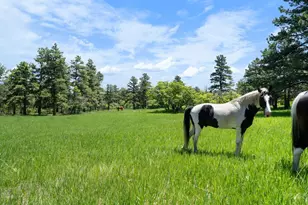 8221 Cuerna Verde Rd, Rye, CO 81069 - Photo 46