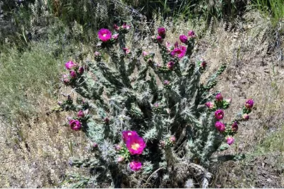 205 Hoofprint Court, Walsenburg, CO 81089 - Photo 18