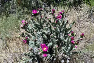 205 Hoofprint Ct, Walsenburg, CO 81089 - Photo 18