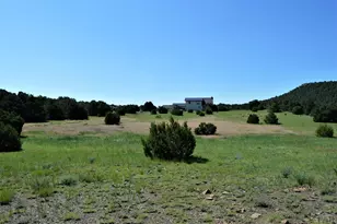 205 Hoofprint Ct, Walsenburg, CO 81089 - Photo 6