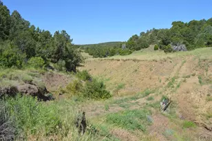 205 Hoofprint Ct, Walsenburg, CO 81089 - Photo 4