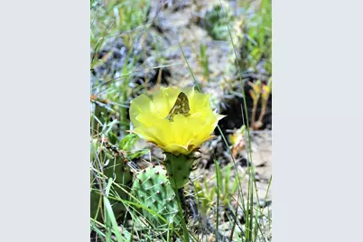 205 Hoofprint Court, Walsenburg, CO 81089 - Photo 10