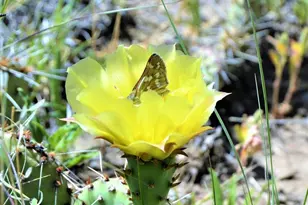 205 Hoofprint Ct, Walsenburg, CO 81089 - Photo 10